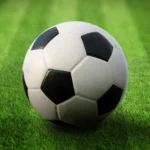 Mundial Football League icon